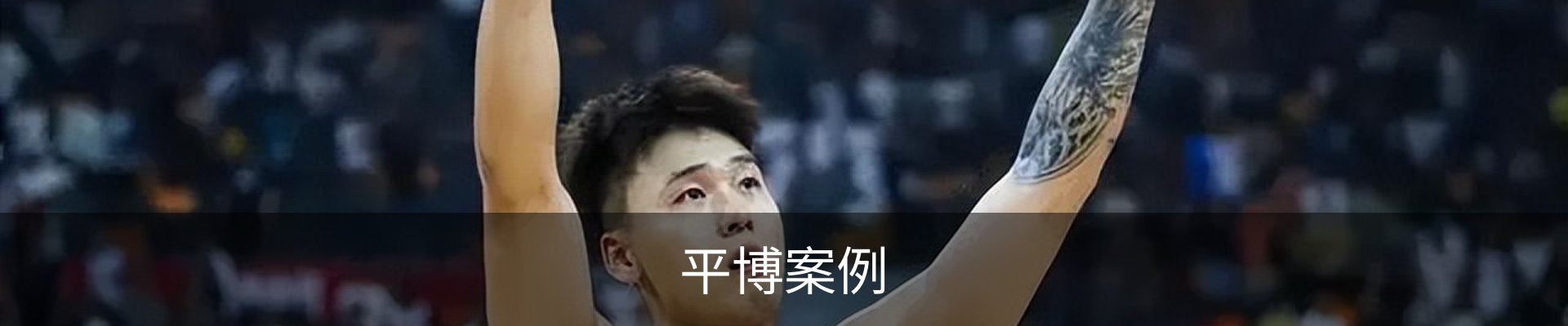 平博案例